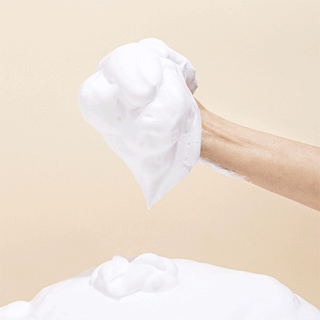 Houttuynia Cordata + Tea Tree Cleansing Foam